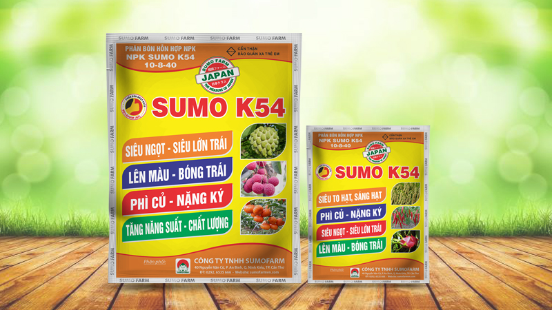 Sumo K54 10-8-40